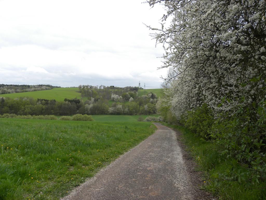 Отель Thueringer Hof Richelsdorf Экстерьер фото