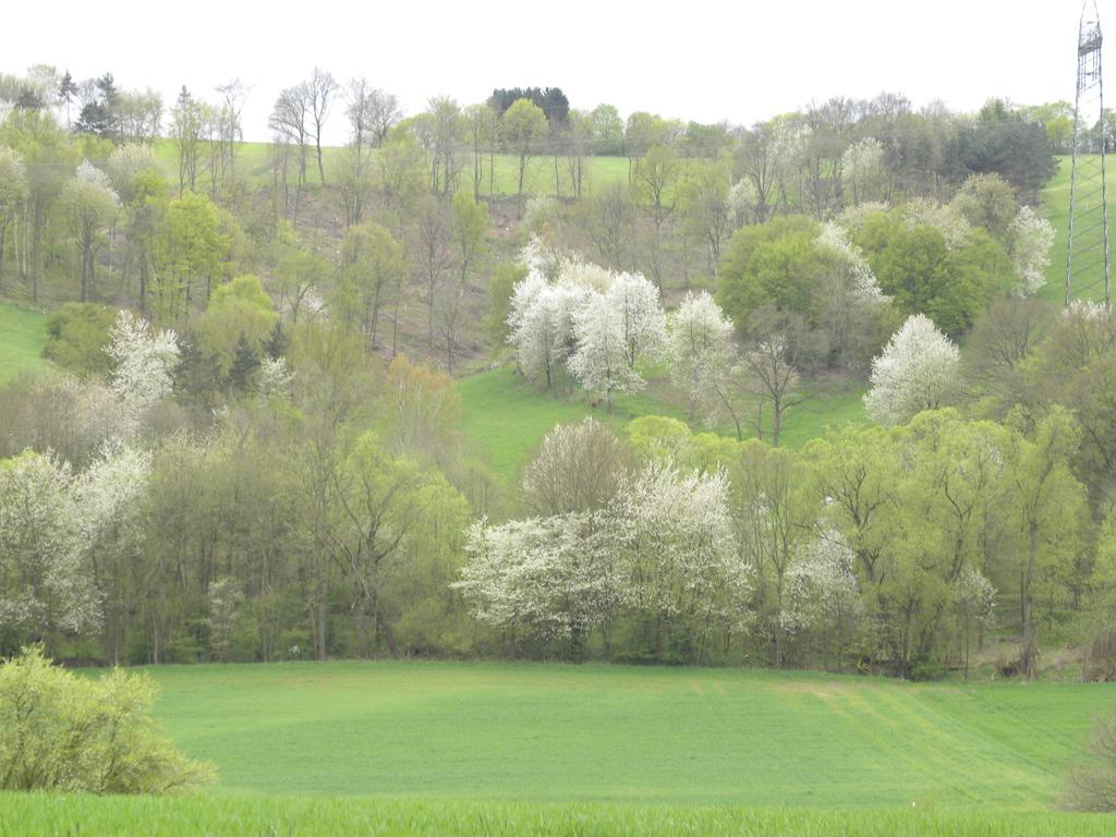 Отель Thueringer Hof Richelsdorf Экстерьер фото