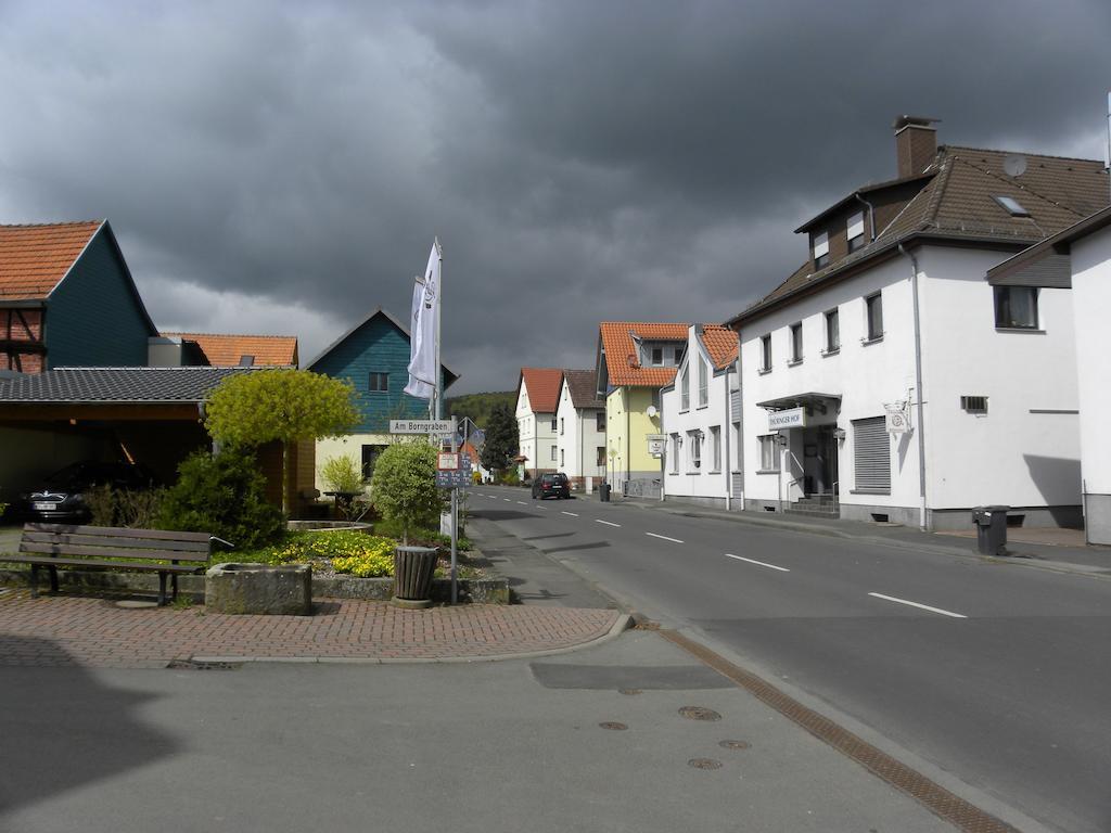 Отель Thueringer Hof Richelsdorf Экстерьер фото